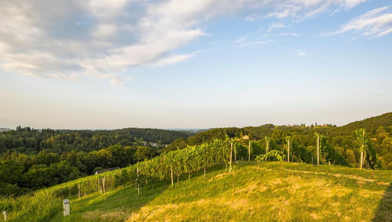 Weinzeit Chalets 甘利特茨 外观 照片
